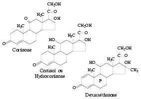 Corticosteroids drugs pdf