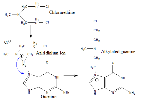 nucleic