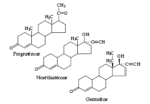 Progestérone et Progestatifs – Pharmacorama