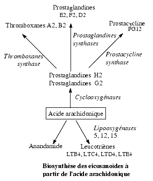 free magnetocaloric energy conversion