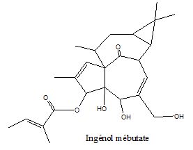 mébutate d'ingénol